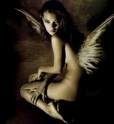 j taime encore